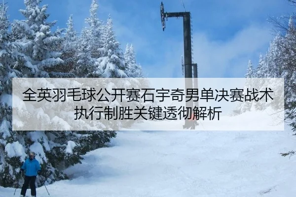 全英羽毛球公开赛石宇奇男单决赛战术执行制胜关键透彻解析